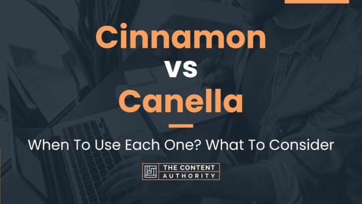 Cinnamon vs Canella: When To Use Each One? What To Consider