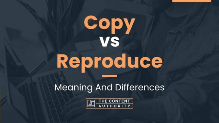 Copy vs Reproduce: Meaning And Differences