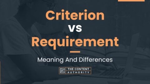 Criterion Vs Requirement: Meaning And Differences