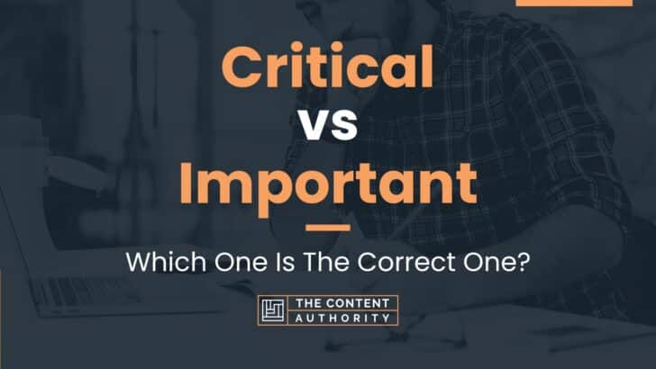 Critical vs Important: Which One Is The Correct One?