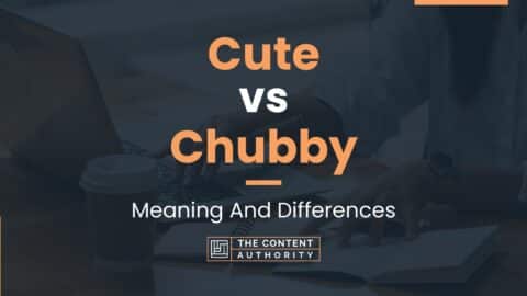 Cute vs Chubby: Meaning And Differences