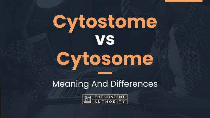 Cytostome vs Cytosome: Meaning And Differences