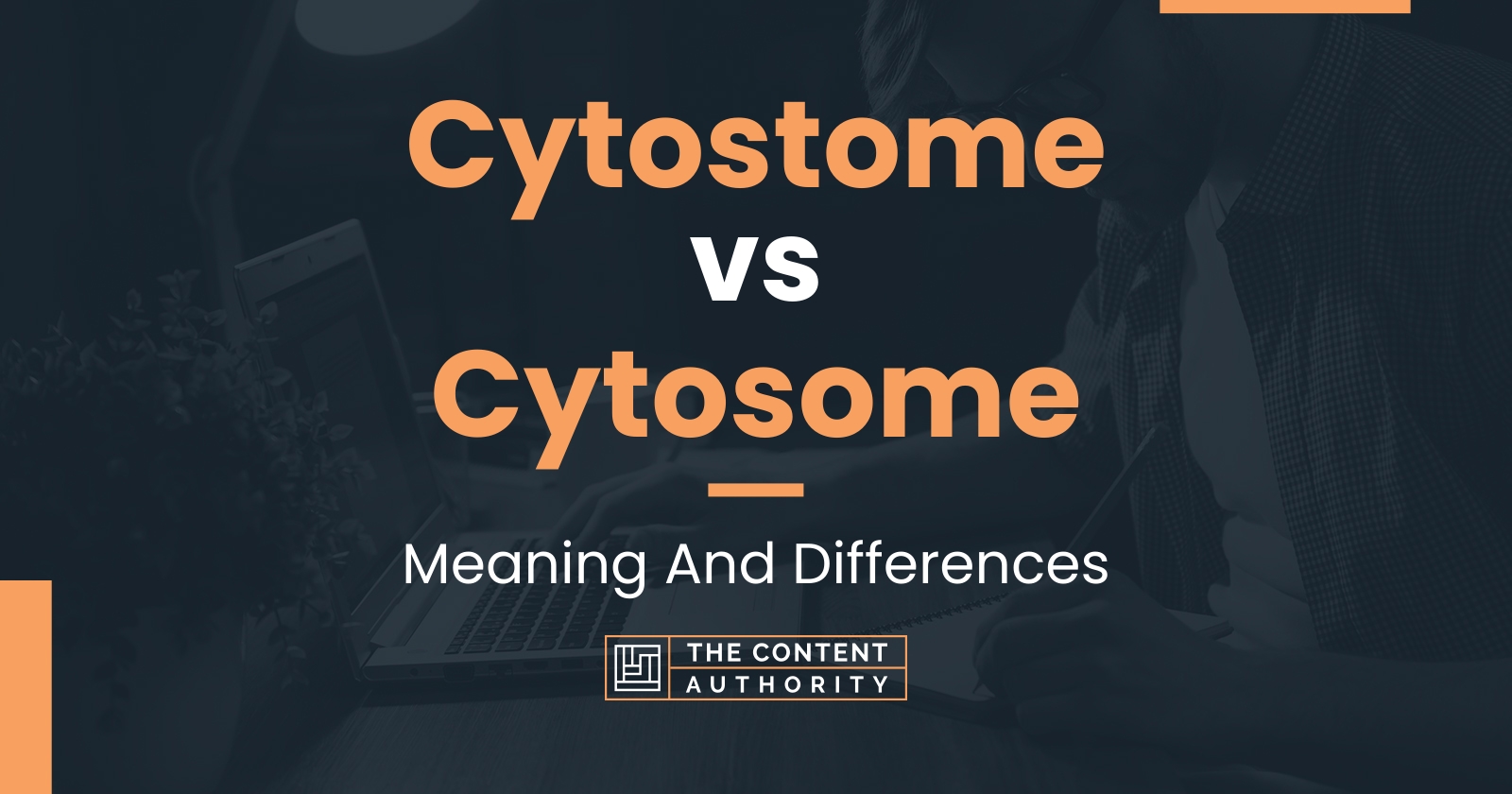 Cytostome vs Cytosome: Meaning And Differences