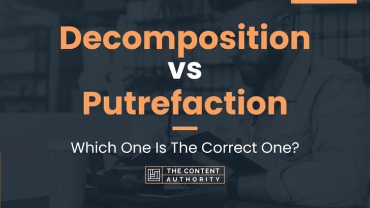 Decomposition vs Putrefaction: Which One Is The Correct One?