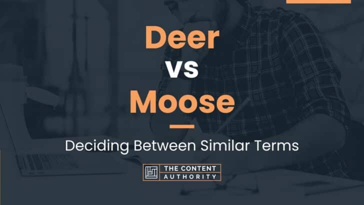 Deer vs Moose: Deciding Between Similar Terms