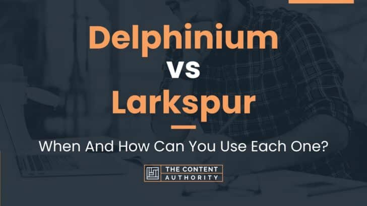 Delphinium vs Larkspur: When And How Can You Use Each One?