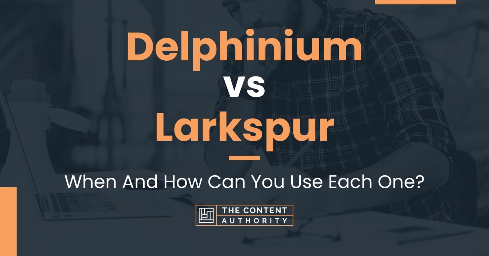 Delphinium vs Larkspur: When And How Can You Use Each One?