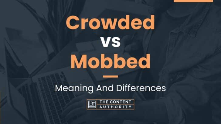 Crowded vs Mobbed: Meaning And Differences