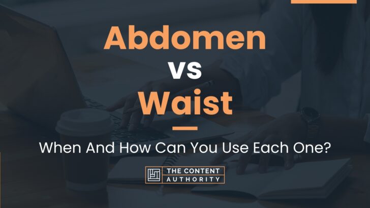 Abdomen vs Waist: When And How Can You Use Each One?