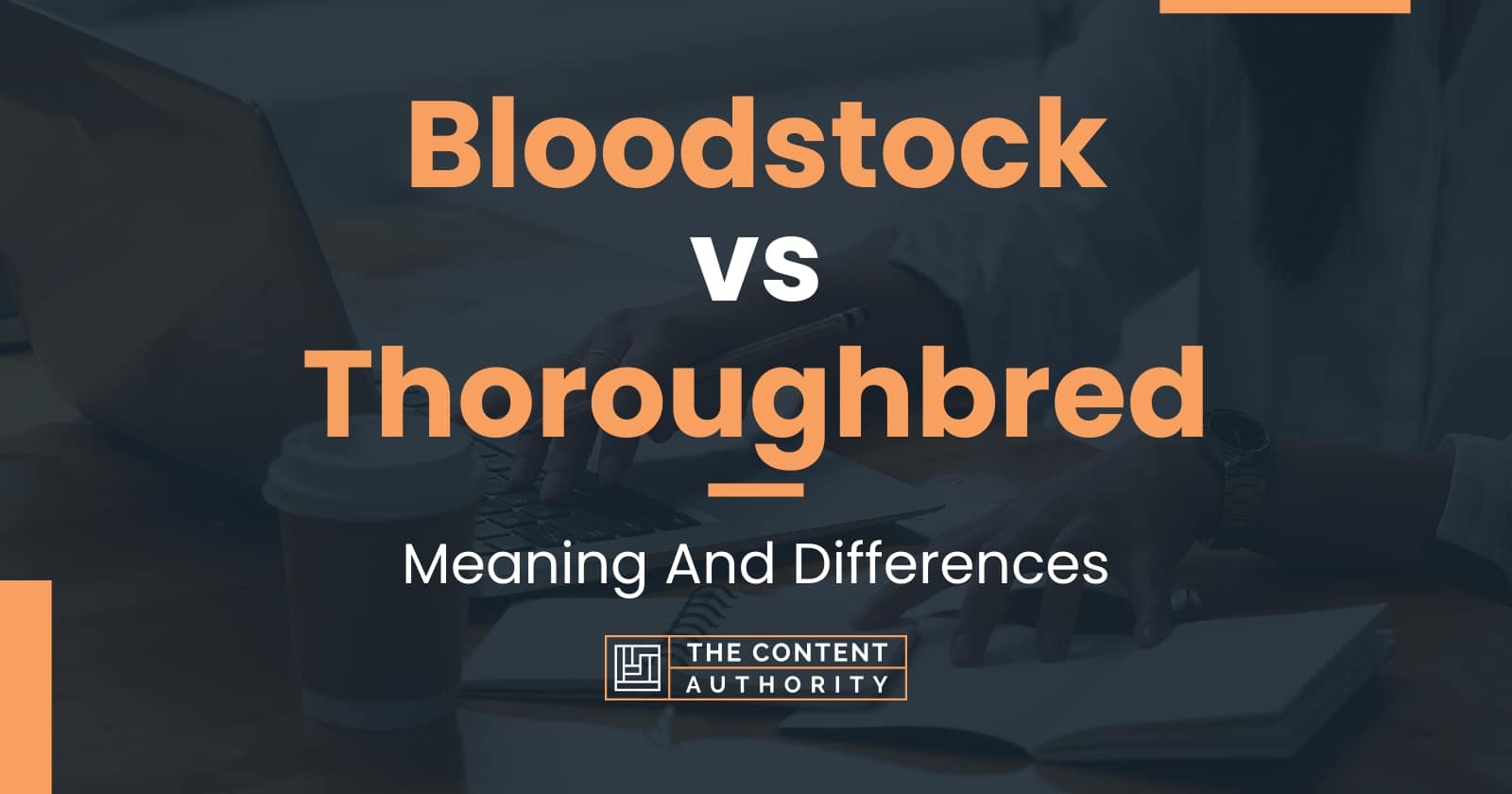 bloodstock-vs-thoroughbred-meaning-and-differences