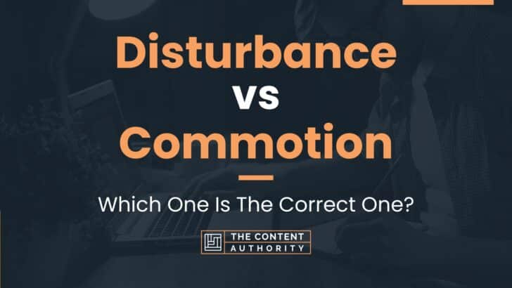 Disturbance vs Commotion: Which One Is The Correct One?