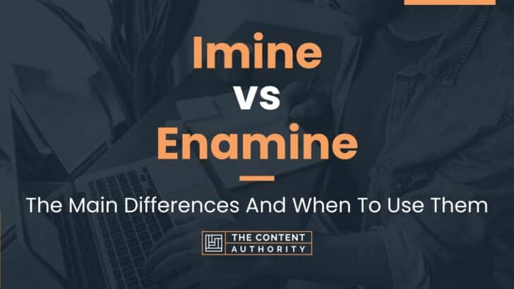 Imine vs Enamine: The Main Differences And When To Use Them