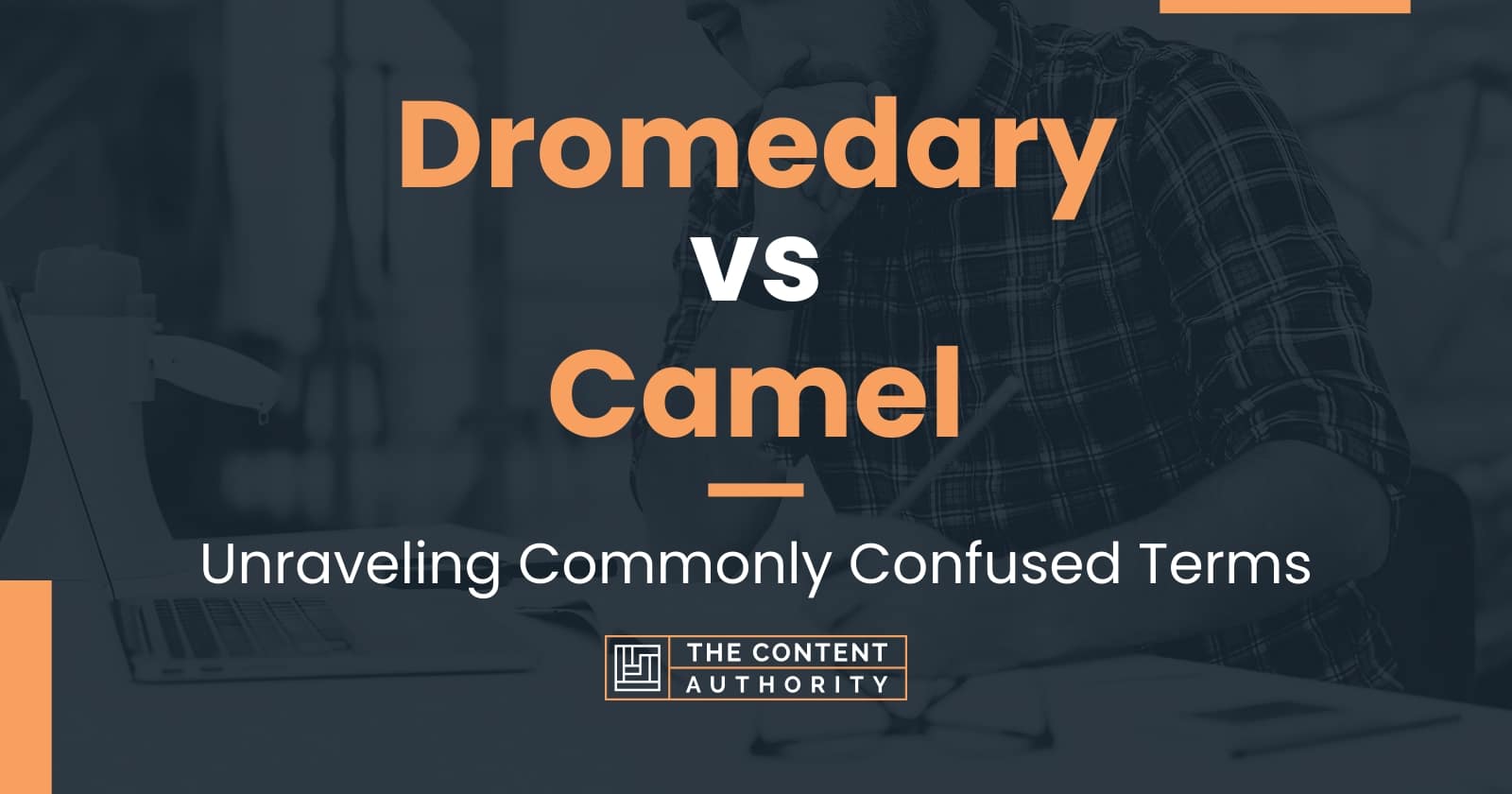 Dromedary vs Camel: Unraveling Commonly Confused Terms