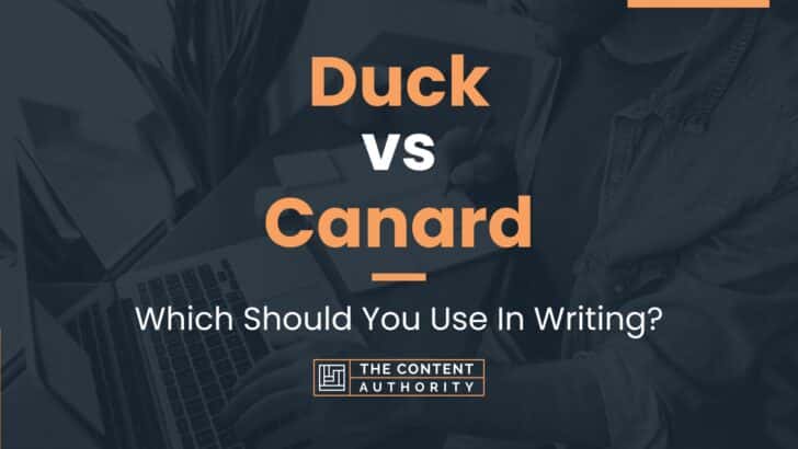 Duck vs Canard: Which Should You Use In Writing?