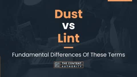 Dust vs Lint: Fundamental Differences Of These Terms