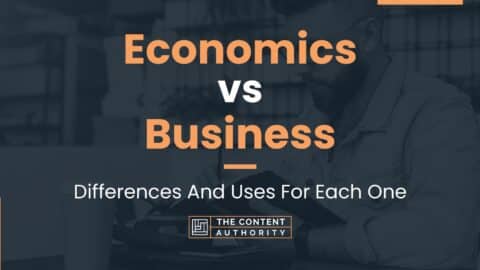 Economics vs Business: Differences And Uses For Each One