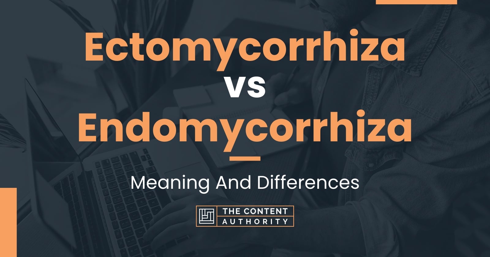 Ectomycorrhiza Vs Endomycorrhiza Meaning And Differences