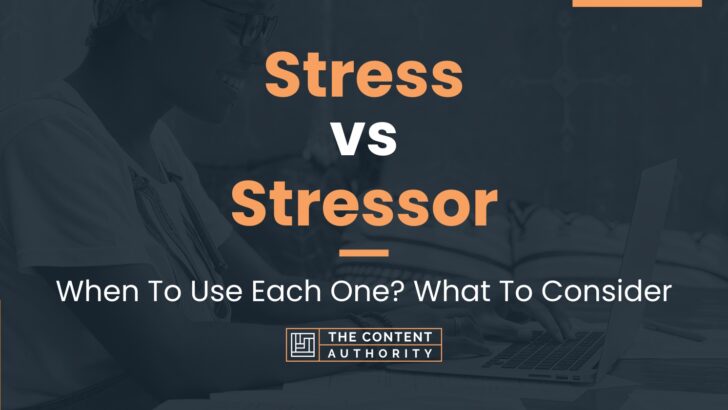 Stress vs Stressor: When To Use Each One? What To Consider