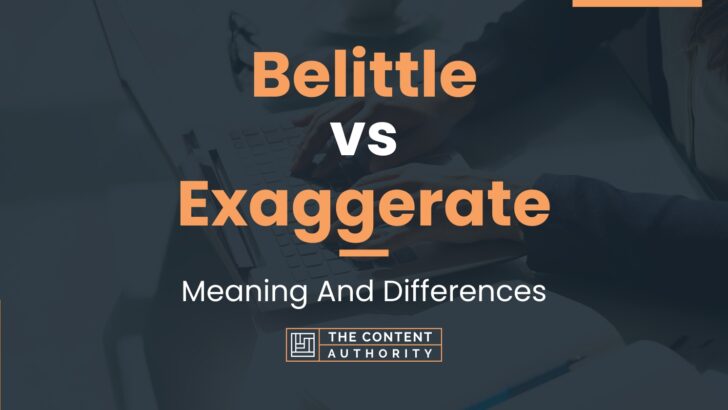 belittle-vs-exaggerate-meaning-and-differences