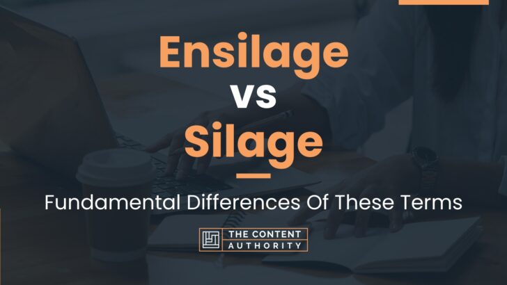 Ensilage vs Silage: Fundamental Differences Of These Terms