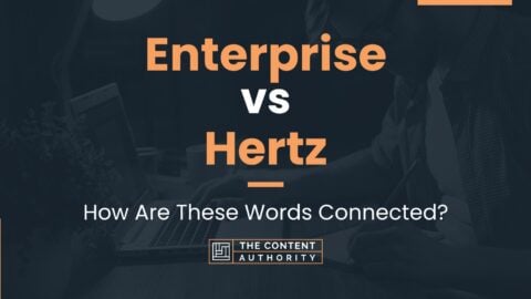 Enterprise Vs Hertz: How Are These Words Connected?