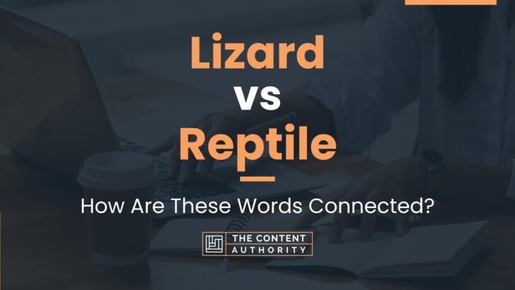 Lizard vs Reptile: How Are These Words Connected?