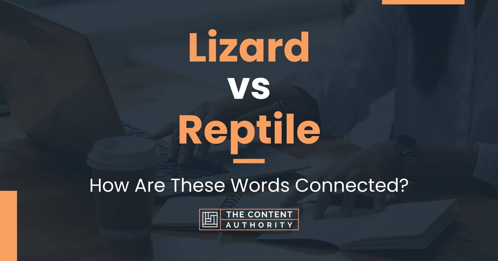 Lizard vs Reptile: How Are These Words Connected?