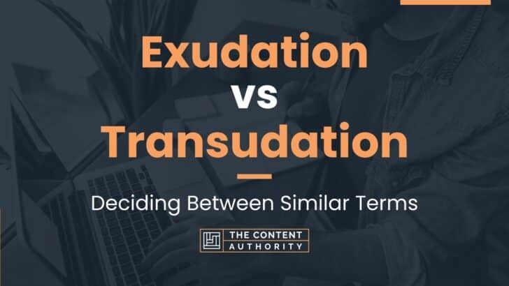 Exudation vs Transudation: Deciding Between Similar Terms