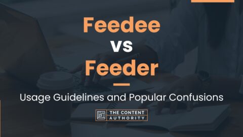 Feedee vs Feeder: Usage Guidelines and Popular Confusions