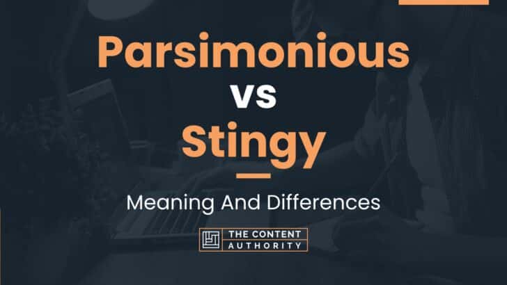 Parsimonious vs Stingy: Meaning And Differences