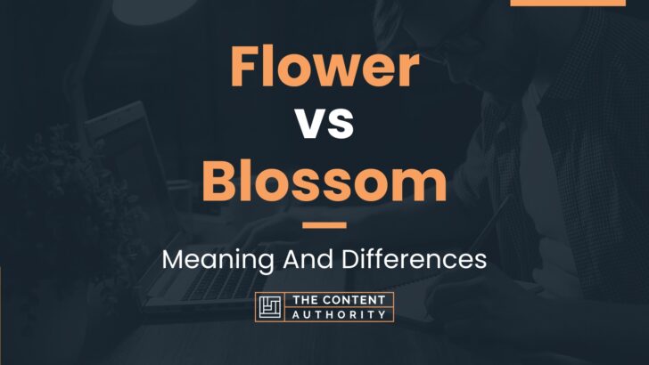 flower-vs-blossom-meaning-and-differences