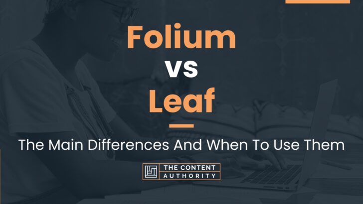 Folium vs Leaf: The Main Differences And When To Use Them