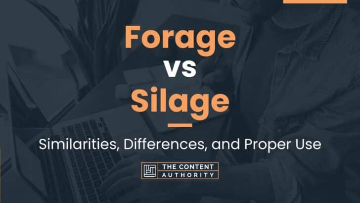 Forage vs Silage: Similarities, Differences, and Proper Use