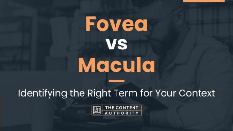 Fovea vs Macula: Identifying the Right Term for Your Context