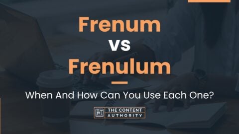 Frenum vs Frenulum: When And How Can You Use Each One?