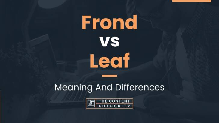 Frond vs Leaf: Meaning And Differences