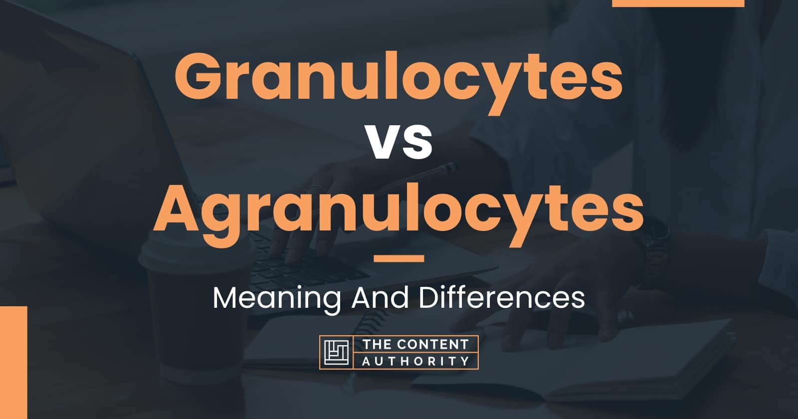 Granulocytes Vs Agranulocytes Meaning And Differences 0175