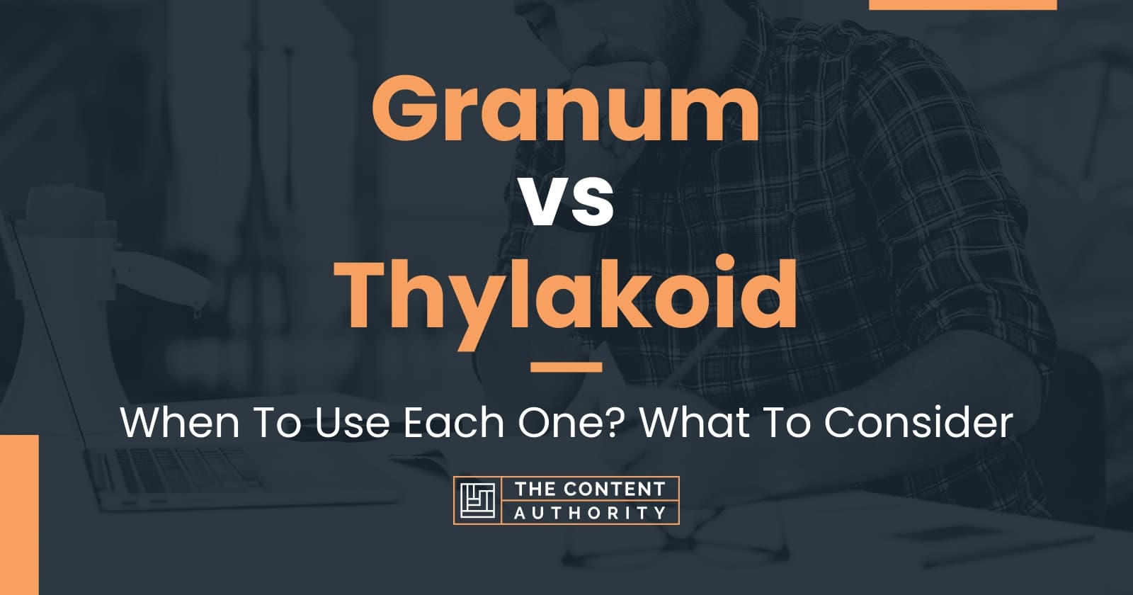 Granum vs Thylakoid When To Use Each One? What To Consider