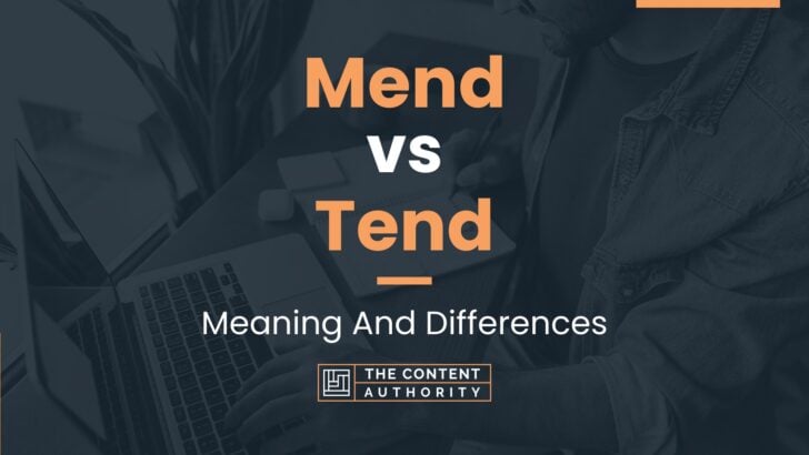 Mend vs Tend: Meaning And Differences