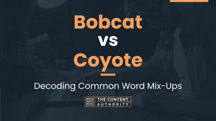 Bobcat vs Coyote: Decoding Common Word Mix-Ups