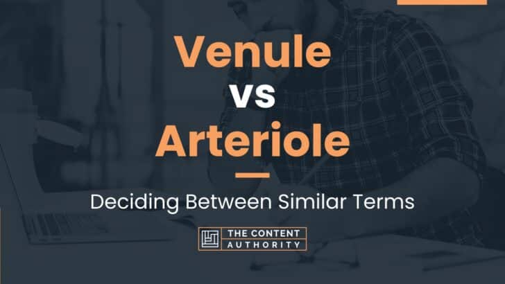 Venule vs Arteriole: Deciding Between Similar Terms
