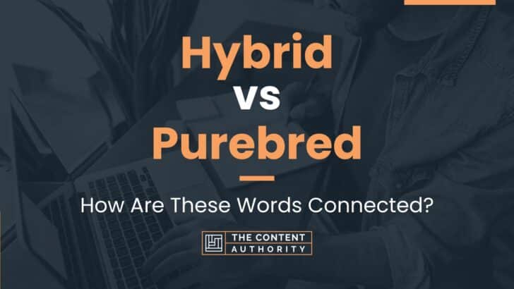 Hybrid Vs Purebred How Are These Words Connected