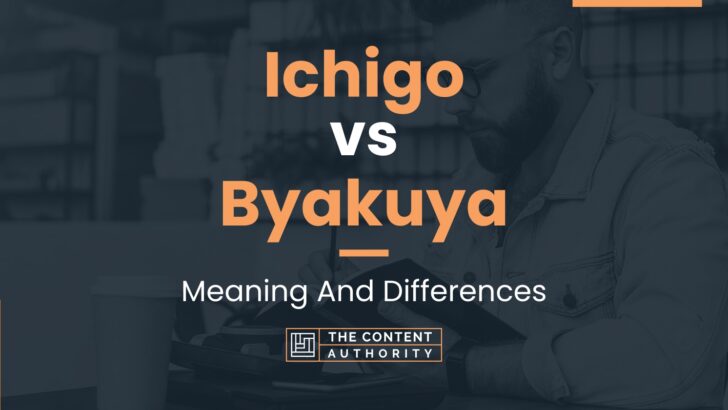 ichigo-vs-byakuya-meaning-and-differences