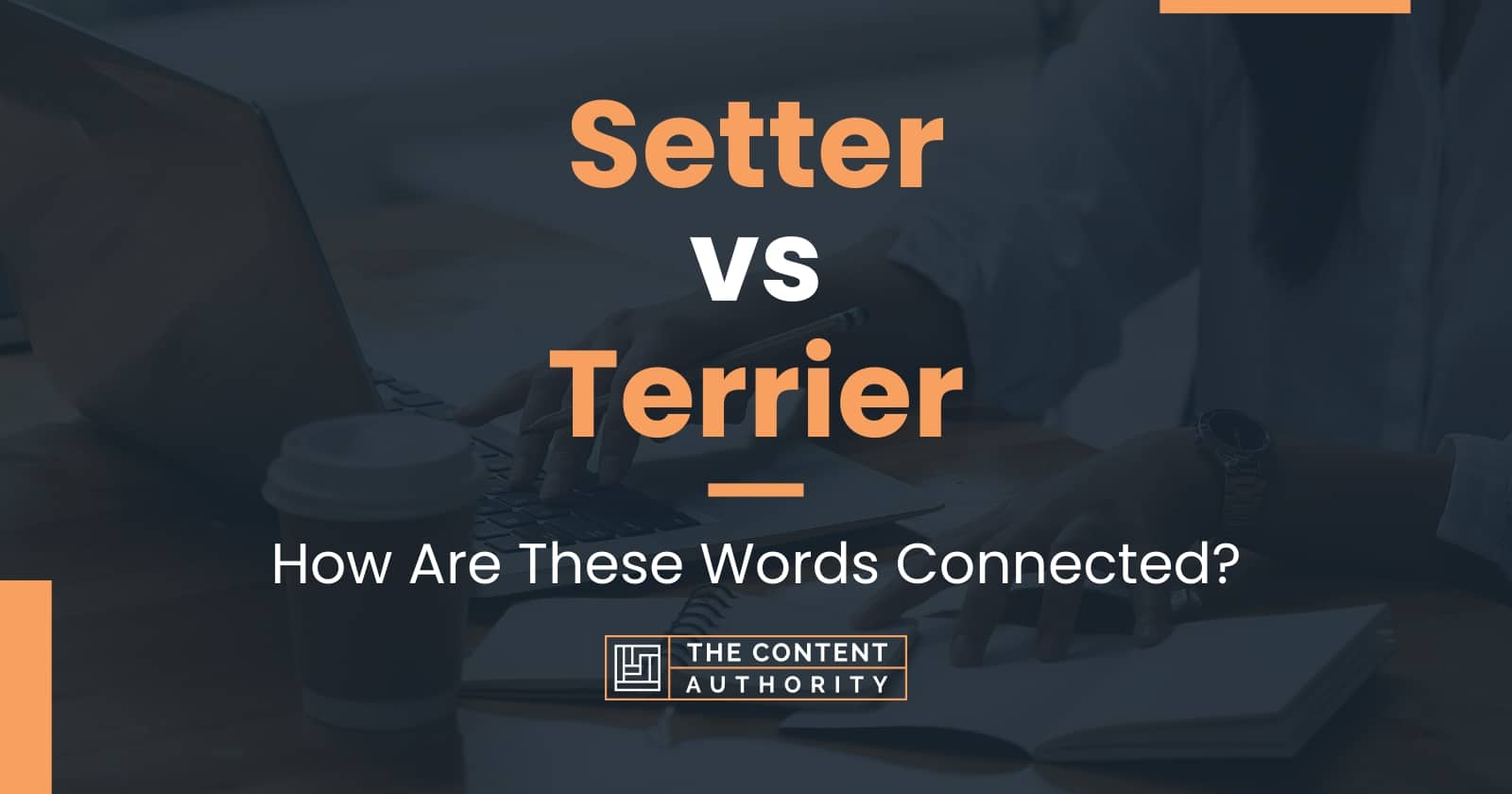 Setter vs Terrier How Are These Words Connected?