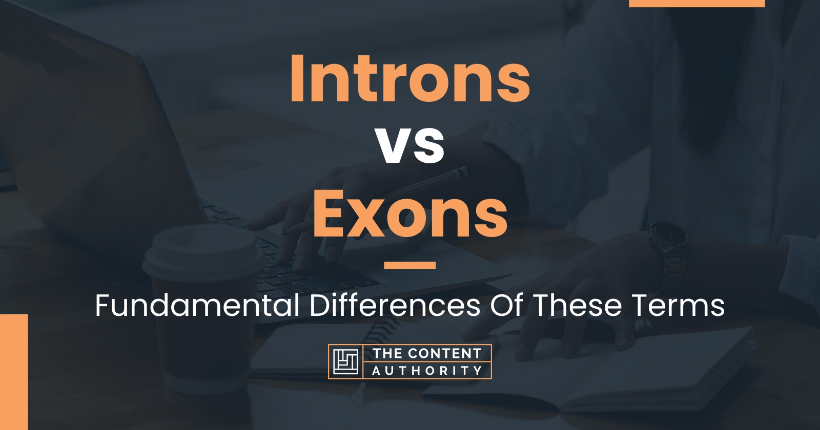 Introns vs Exons: Fundamental Differences Of These Terms