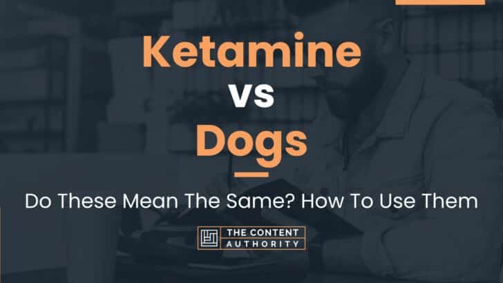 Ketamine vs Dogs: Do These Mean The Same? How To Use Them