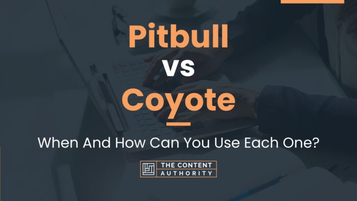 Pitbull vs Coyote: When And How Can You Use Each One?