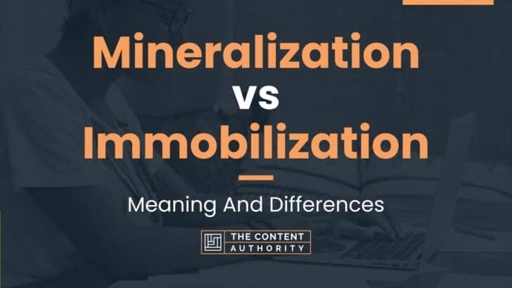 mineralization-vs-immobilization-meaning-and-differences