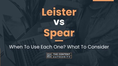 Leister vs Spear: When To Use Each One? What To Consider