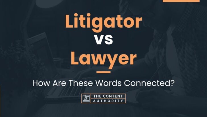 Litigator vs Lawyer: How Are These Words Connected?